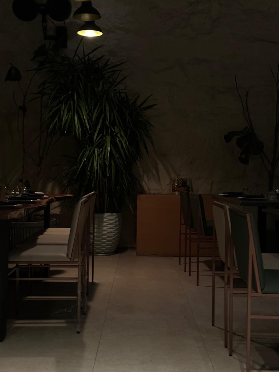 Olaa Dining Chair 1 Lifestyle 6